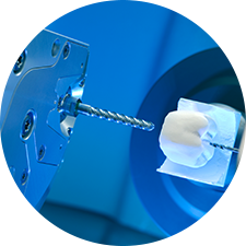 全數(shù)字化流程清晰種植成活率較高